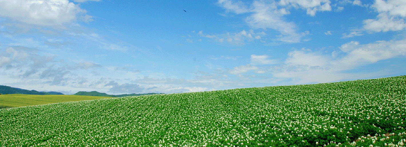 JELC北海道特別教区